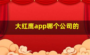 大红鹰app哪个公司的