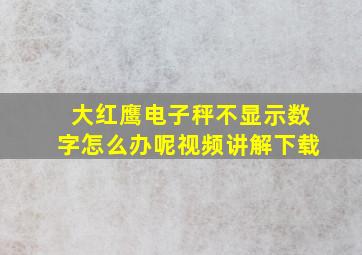 大红鹰电子秤不显示数字怎么办呢视频讲解下载