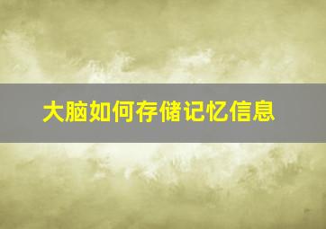 大脑如何存储记忆信息