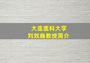 大连医科大学刘效巍教授简介