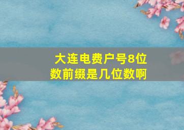 大连电费户号8位数前缀是几位数啊