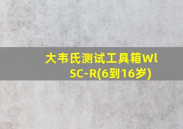 大韦氏测试工具箱WlSC-R(6到16岁)