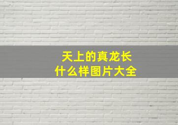 天上的真龙长什么样图片大全