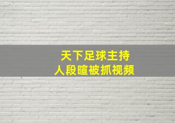 天下足球主持人段暄被抓视频