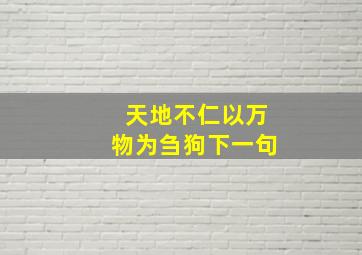 天地不仁以万物为刍狗下一句