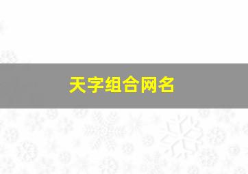 天字组合网名