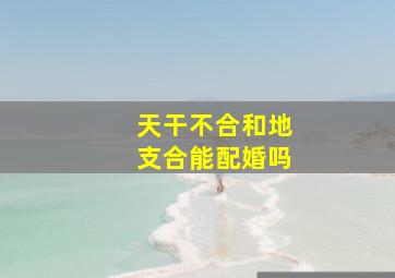 天干不合和地支合能配婚吗