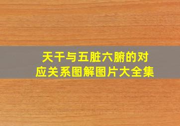 天干与五脏六腑的对应关系图解图片大全集