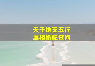 天干地支五行属相婚配查询