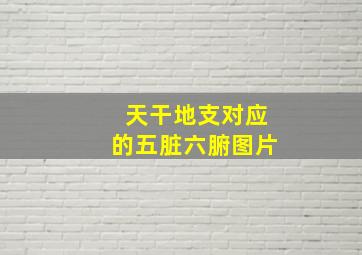 天干地支对应的五脏六腑图片