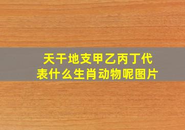 天干地支甲乙丙丁代表什么生肖动物呢图片