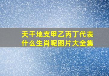 天干地支甲乙丙丁代表什么生肖呢图片大全集