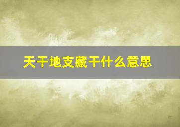 天干地支藏干什么意思