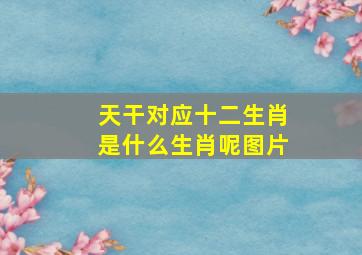 天干对应十二生肖是什么生肖呢图片