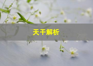 天干解析