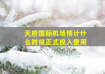 天府国际机场预计什么时候正式投入使用