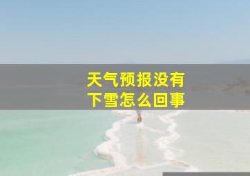 天气预报没有下雪怎么回事