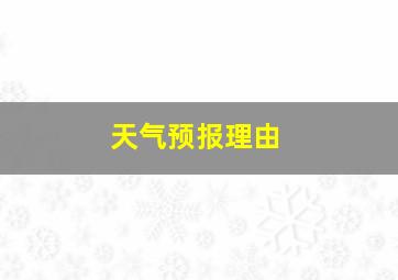 天气预报理由