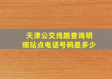 天津公交线路查询明细站点电话号码是多少