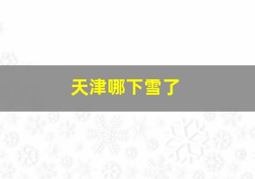 天津哪下雪了