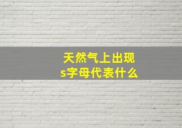 天然气上出现s字母代表什么