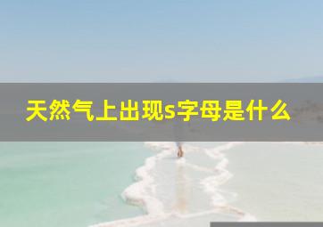 天然气上出现s字母是什么