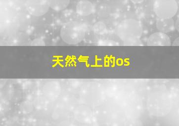 天然气上的os