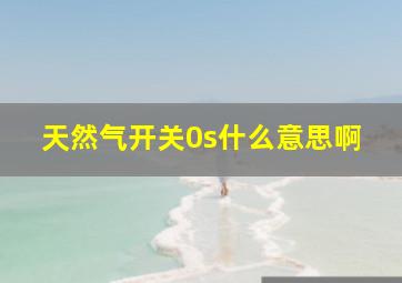 天然气开关0s什么意思啊