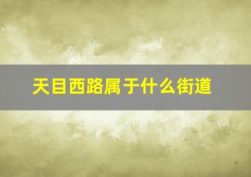 天目西路属于什么街道