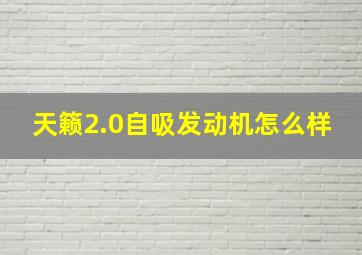 天籁2.0自吸发动机怎么样