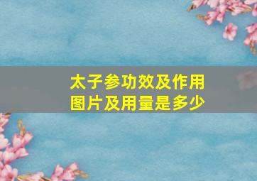 太子参功效及作用图片及用量是多少