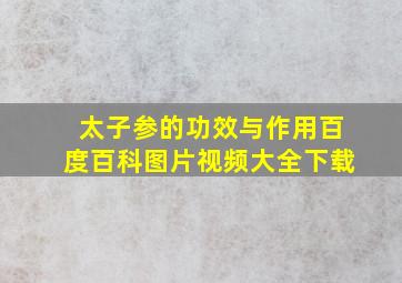 太子参的功效与作用百度百科图片视频大全下载