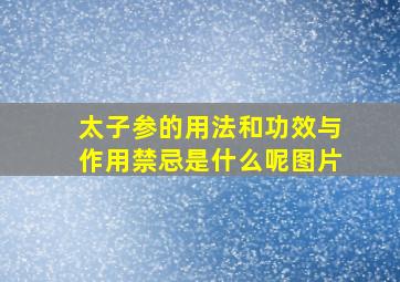 太子参的用法和功效与作用禁忌是什么呢图片