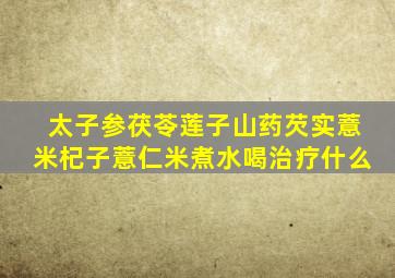 太子参茯苓莲子山药芡实薏米杞子薏仁米煮水喝治疗什么