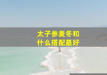 太子参麦冬和什么搭配最好