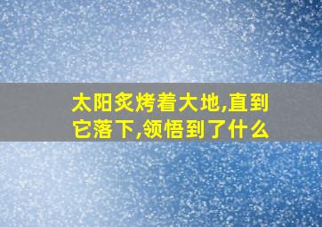 太阳炙烤着大地,直到它落下,领悟到了什么