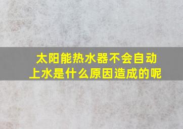 太阳能热水器不会自动上水是什么原因造成的呢