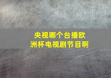 央视哪个台播欧洲杯电视剧节目啊