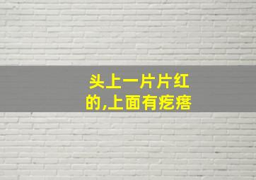 头上一片片红的,上面有疙瘩