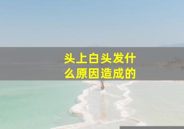 头上白头发什么原因造成的