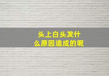 头上白头发什么原因造成的呢