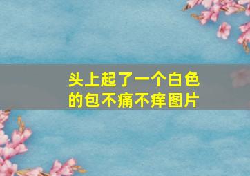 头上起了一个白色的包不痛不痒图片