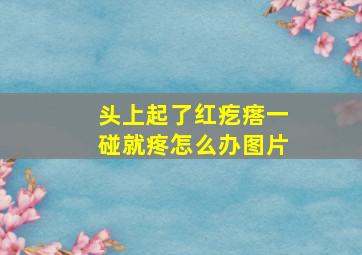 头上起了红疙瘩一碰就疼怎么办图片