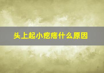 头上起小疙瘩什么原因