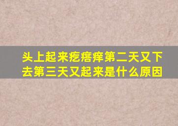 头上起来疙瘩痒第二天又下去第三天又起来是什么原因