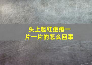 头上起红疙瘩一片一片的怎么回事