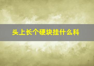 头上长个硬块挂什么科