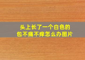 头上长了一个白色的包不痛不痒怎么办图片