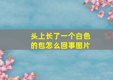 头上长了一个白色的包怎么回事图片