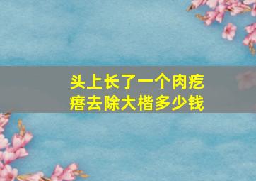 头上长了一个肉疙瘩去除大楷多少钱